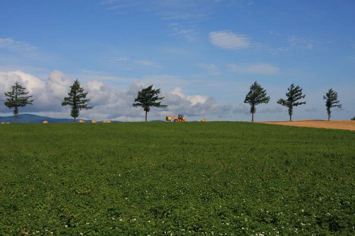 ファイル 112-3.jpg