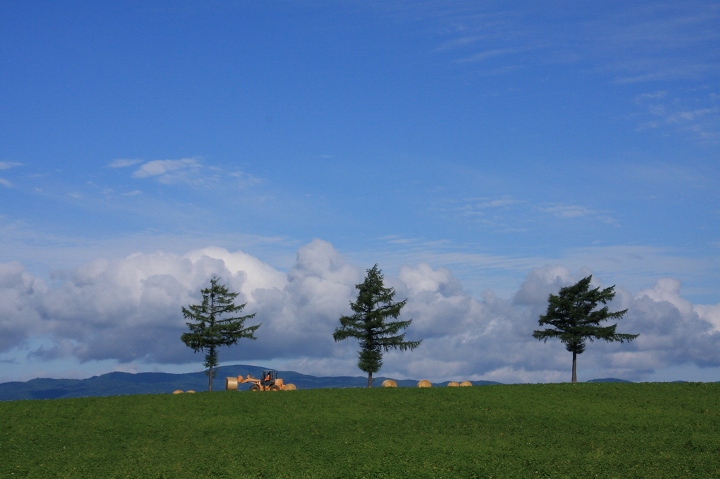 ファイル 112-5.jpg