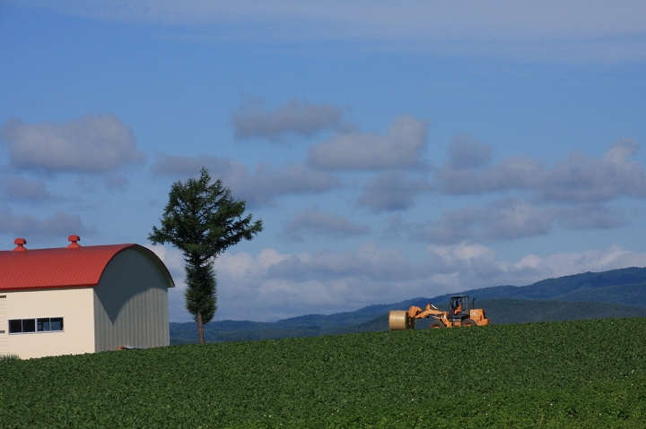 ファイル 112-6.jpg