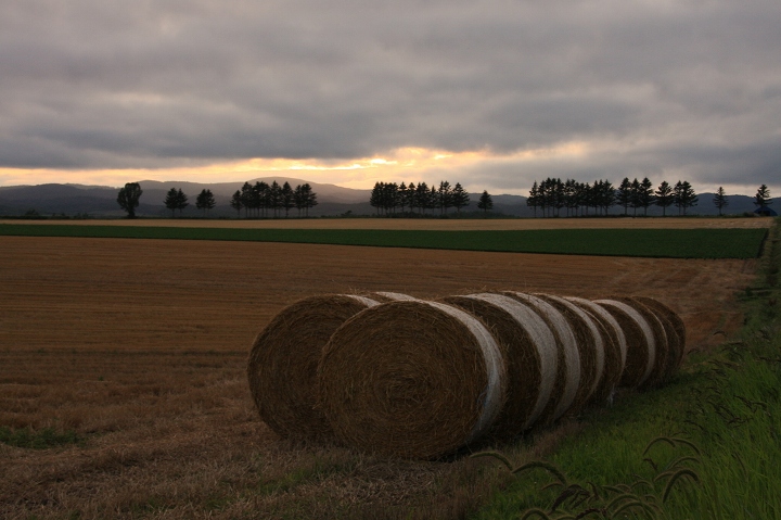 ファイル 112-7.jpg