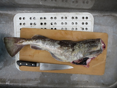 ファイル 112-8.jpg