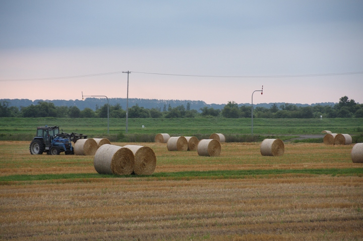 ファイル 113-3.jpg