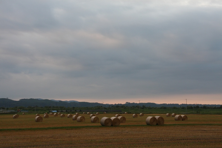 ファイル 113-4.jpg