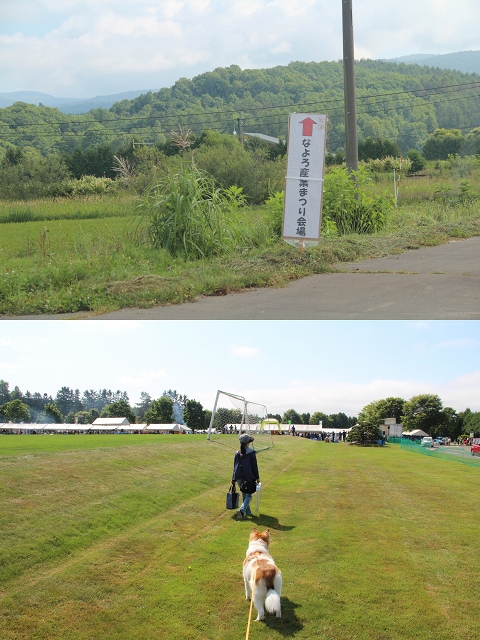 ファイル 115-2.jpg