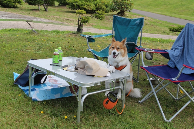 ファイル 115-3.jpg