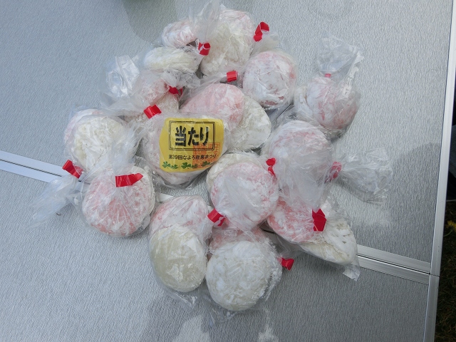 ファイル 115-4.jpg