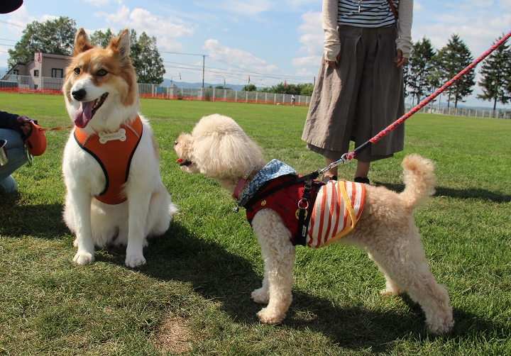 ファイル 116-2.jpg