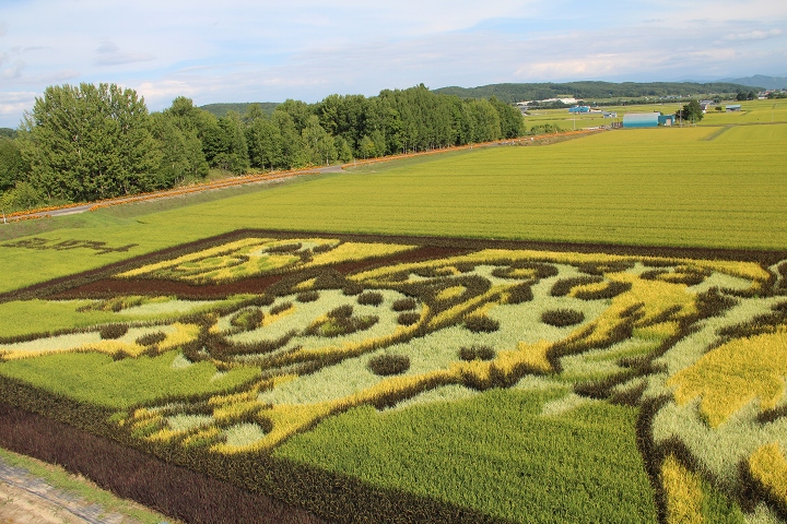 ファイル 116-4.jpg