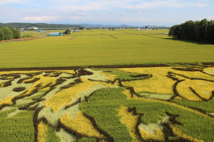 ファイル 116-5.jpg