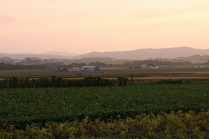 ファイル 117-4.jpg