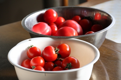 ファイル 119-4.jpg