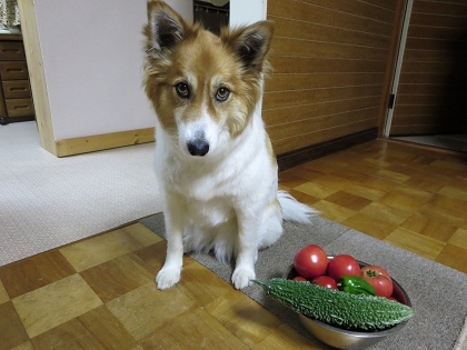 ファイル 119-5.jpg