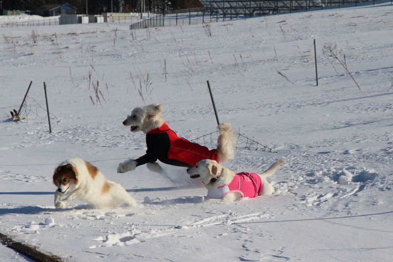 ファイル 12-8.jpg