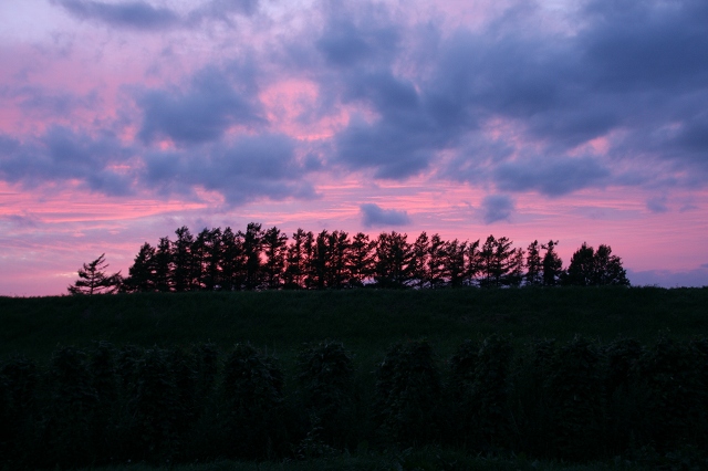 ファイル 121-2.jpg