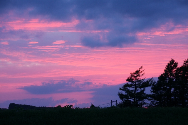 ファイル 121-3.jpg