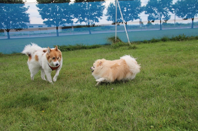 ファイル 122-5.jpg