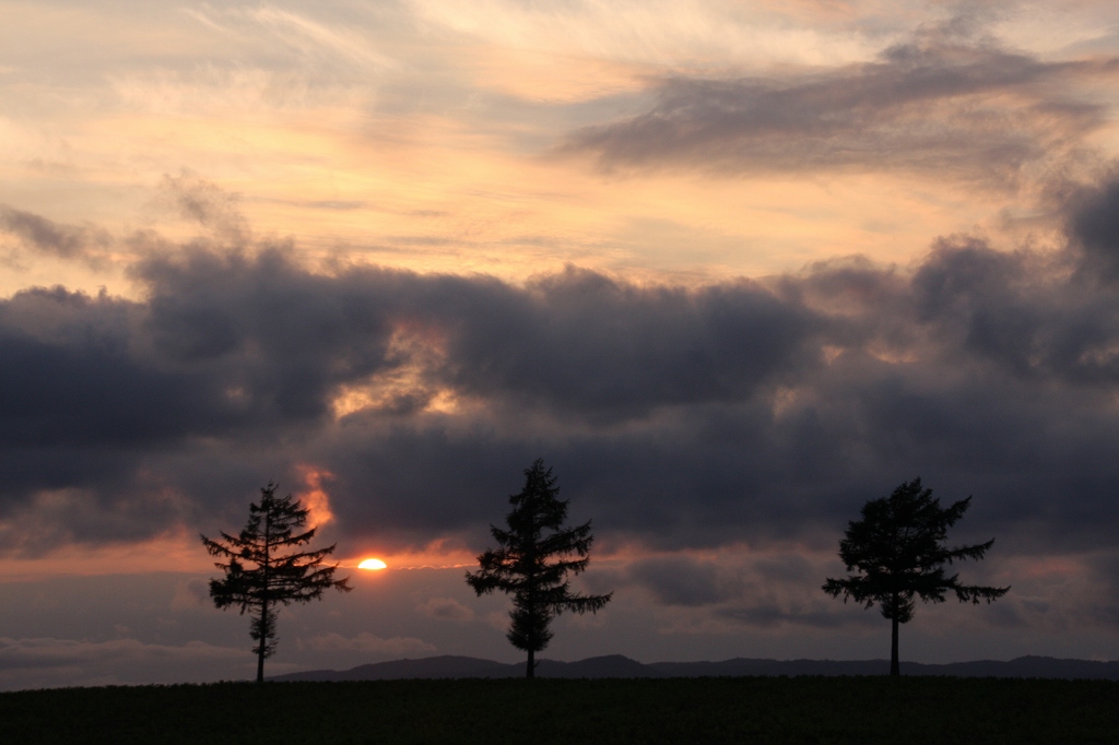 ファイル 122-8.jpg