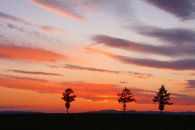 ファイル 123-2.jpg