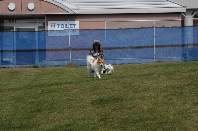 ファイル 125-1.jpg