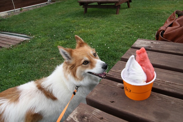 ファイル 125-2.jpg