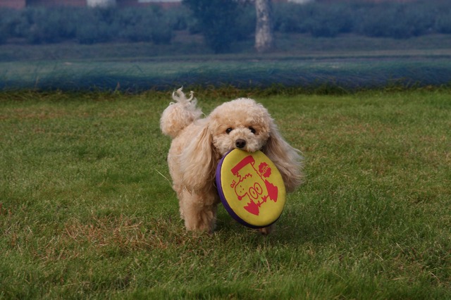 ファイル 125-5.jpg