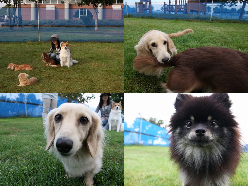 ファイル 125-6.jpg