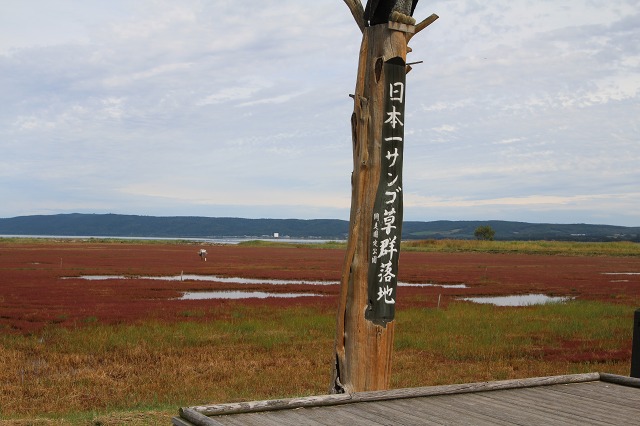 ファイル 126-5.jpg