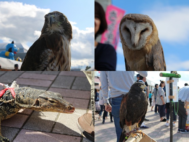 ファイル 127-3.jpg