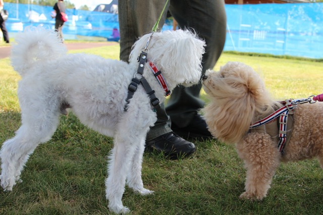 ファイル 127-4.jpg