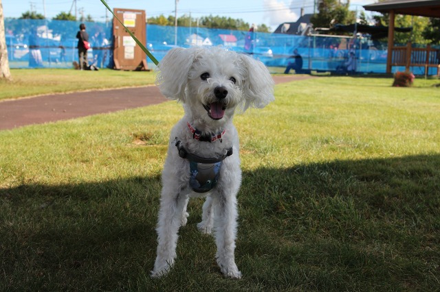 ファイル 127-5.jpg