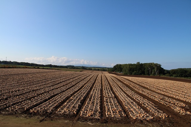 ファイル 128-1.jpg