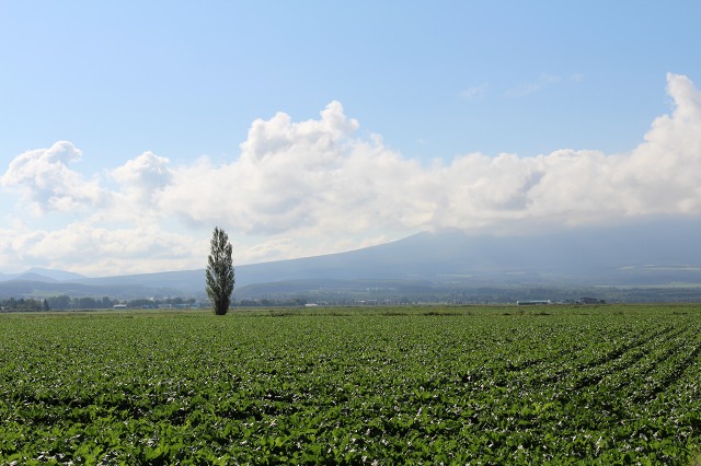 ファイル 128-2.jpg