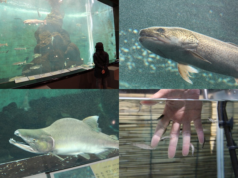 ファイル 128-5.jpg