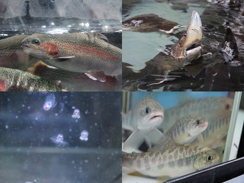 ファイル 128-8.jpg