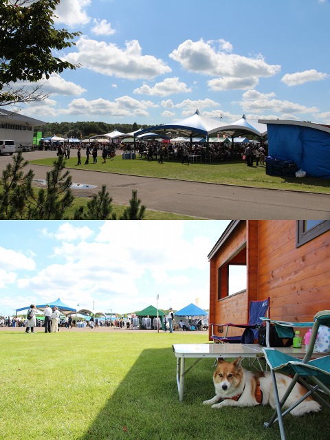 ファイル 129-2.jpg