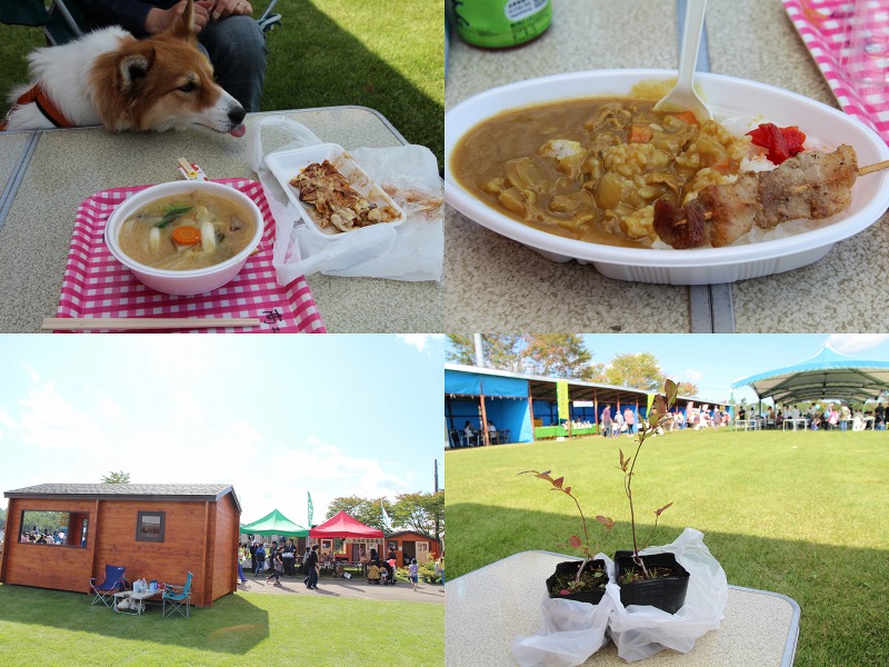 ファイル 129-4.jpg