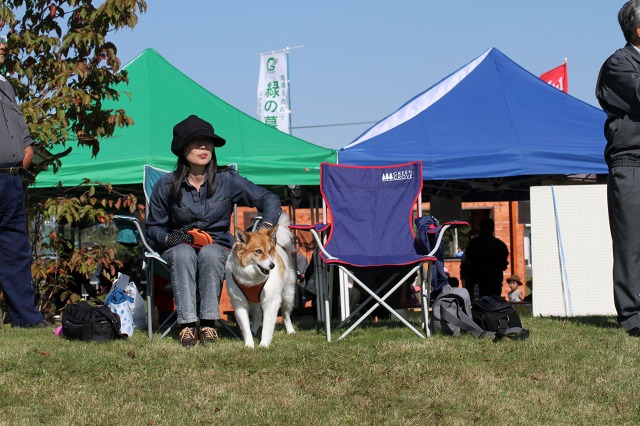 ファイル 129-6.jpg