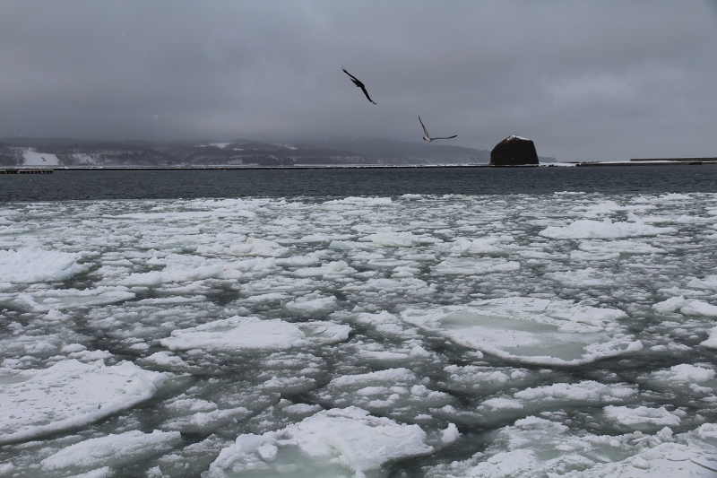 ファイル 13-9.jpg