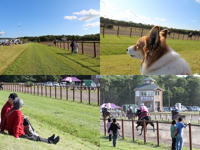 ファイル 130-5.jpg