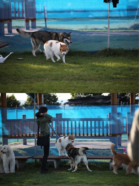 ファイル 131-2.jpg