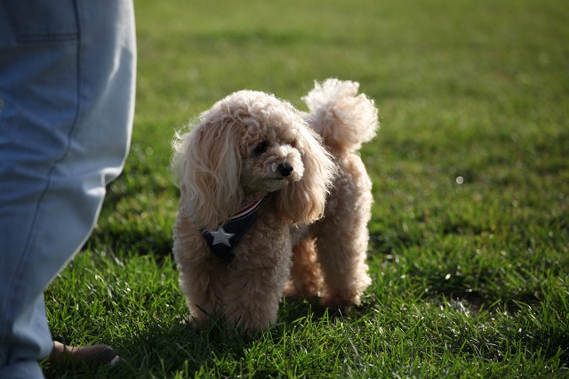 ファイル 131-4.jpg