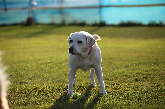 ファイル 131-5.jpg