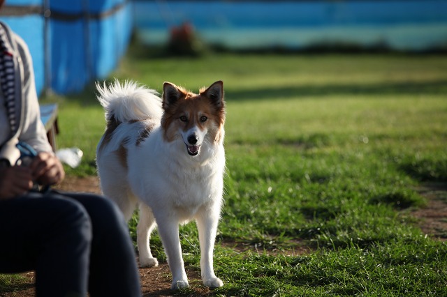 ファイル 131-6.jpg