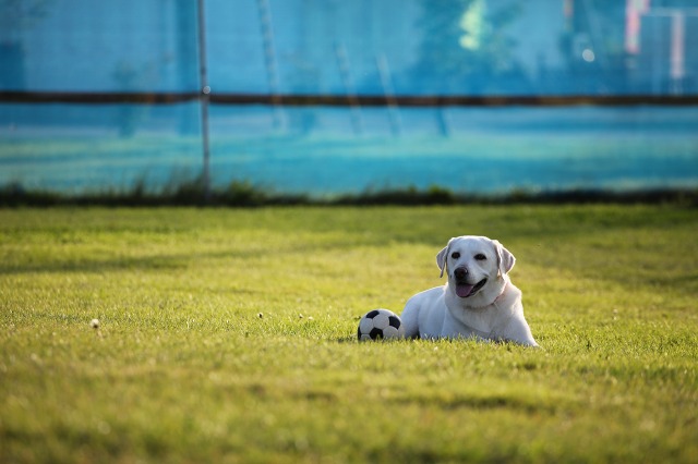 ファイル 131-7.jpg