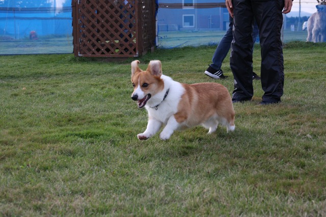 ファイル 132-2.jpg