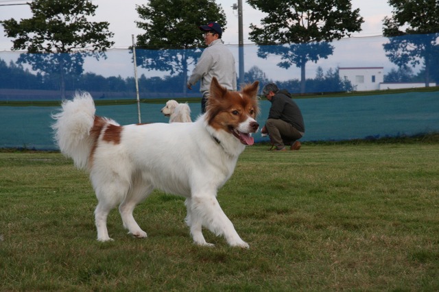 ファイル 132-4.jpg