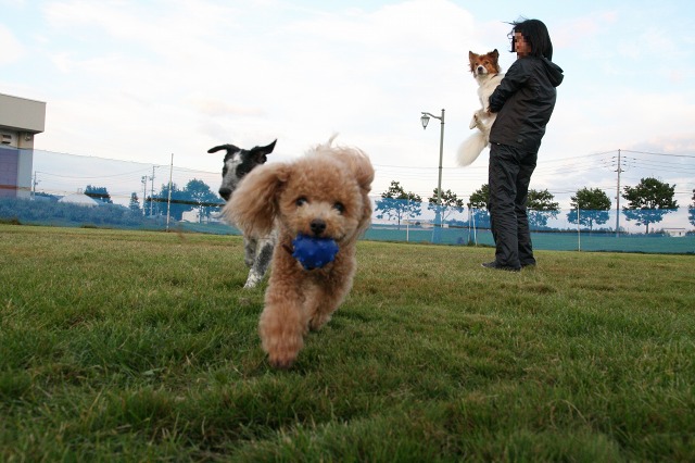 ファイル 132-5.jpg