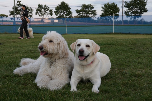 ファイル 132-6.jpg