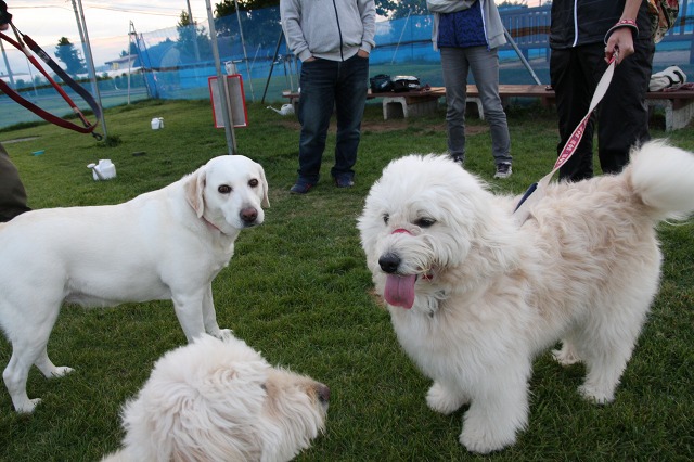 ファイル 132-7.jpg