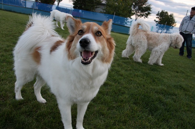 ファイル 132-9.jpg